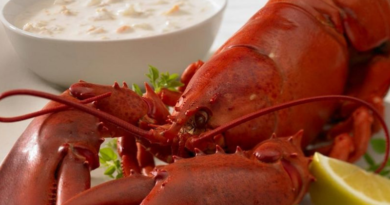 Un peu de homard, beaucoup de mépris. Un peu de homard, beaucoup de mépris.